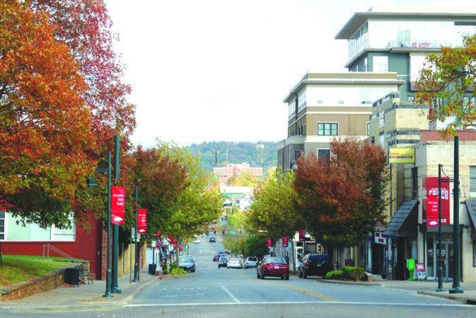 The Wildflower - Walk Everywhere Downtown Apartment Fayetteville Exterior photo